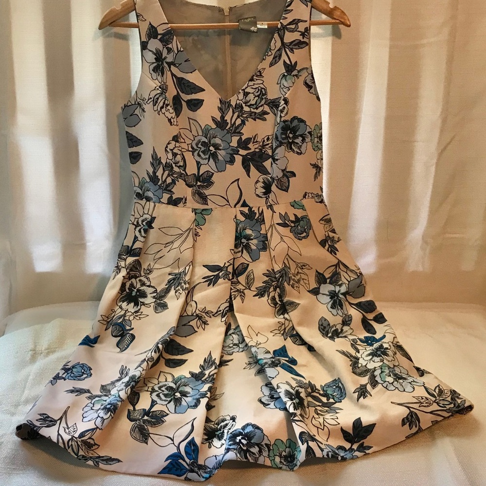 Taylor Women’s Dress Size 4 EUC